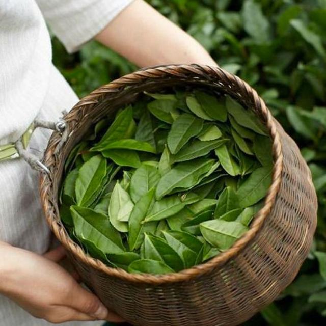 6385e69b4a43183d375a3de3-1669719707143